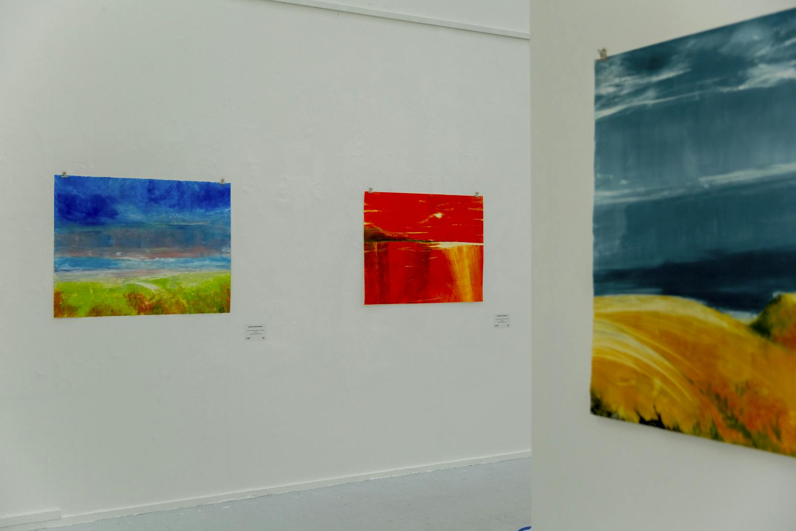 An image of Martine's exhibition featuring a number of colourful paintings